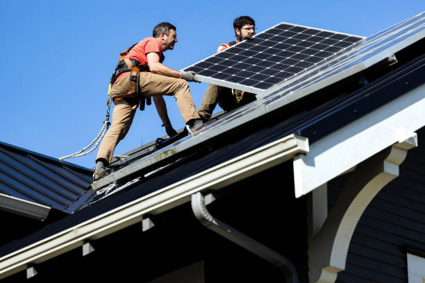 Best Roof Moss and Algae Removal  in Snyder, OK